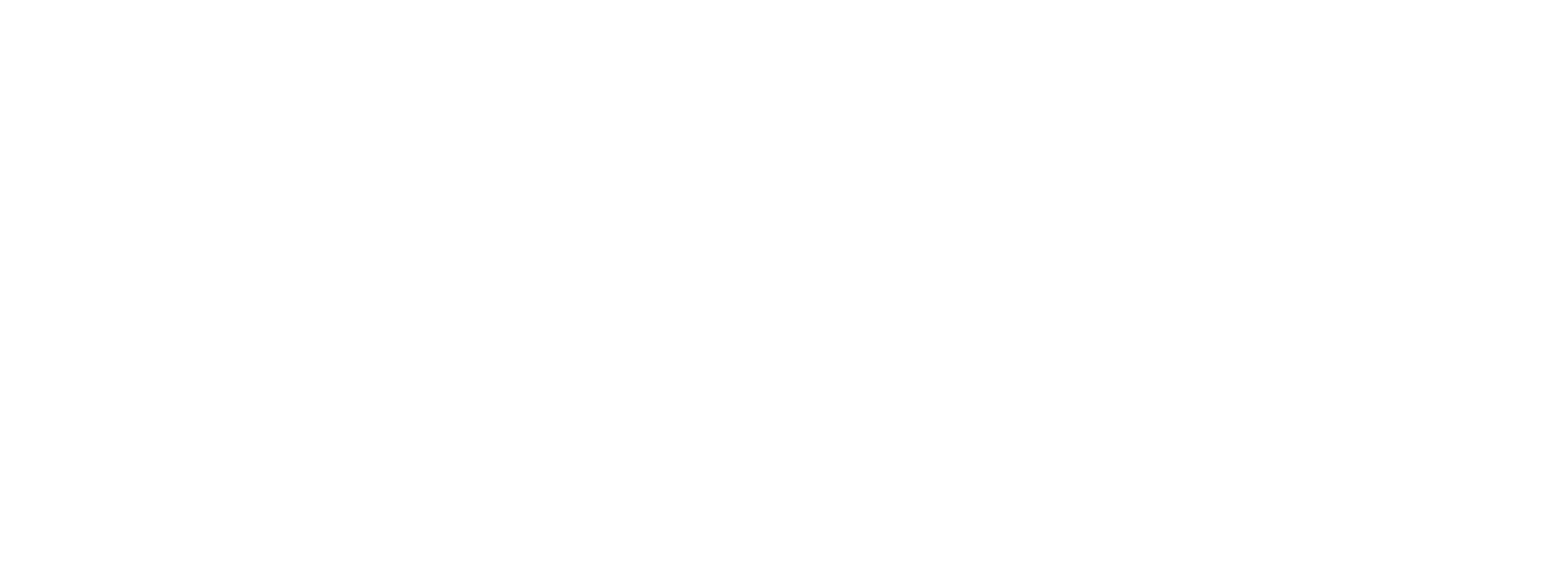 visitBerlin Partner